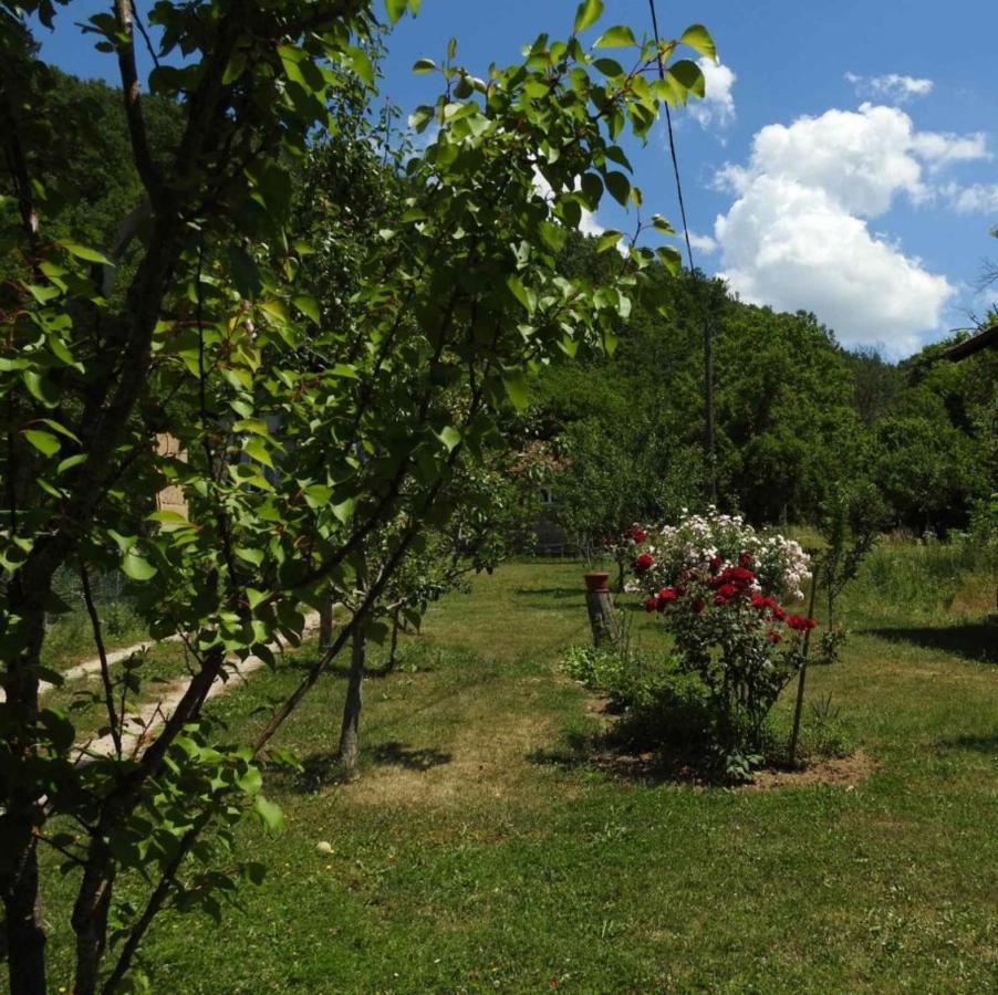 Omar & Una Apartmani Bihać Buitenkant foto